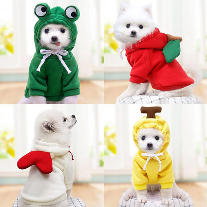 Sweet dog sweater